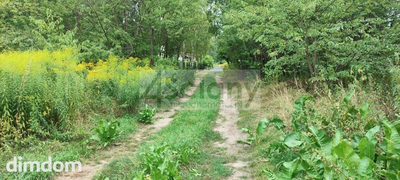 Działka prawie w Lesie Młochowskim - 2