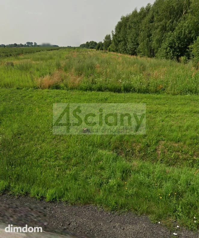 Działka 3000 m2 w Starym Łajszczewie - 104046624.jpg