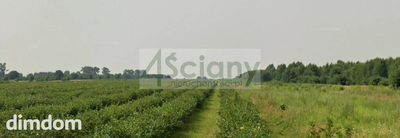 Działka 3000 m2 w Starym Łajszczewie - 2