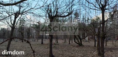 Działka na granicy Złotokłosu i Henrykowa - 4