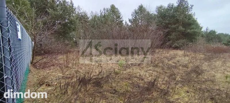 2 działki budowlane w Kamieńczyku koło Wyszkowa. - 105038636.jpg
