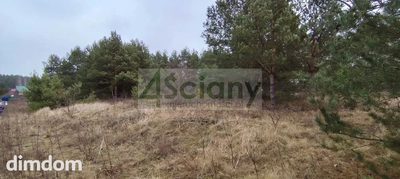 2 działki budowlane w Kamieńczyku koło Wyszkowa. - 2
