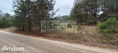 2 działki budowlane w Kamieńczyku koło Wyszkowa. - 3