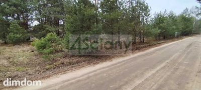 2 działki budowlane w Kamieńczyku koło Wyszkowa. - 4