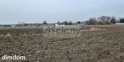 1000 m2 w Zaborówku