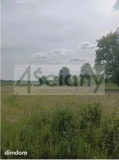 Do sprzedania działka budowlana o powierzchni 3000 m2 w Książenicach koło Grodziska Maz. - 2