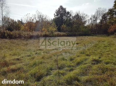 CICHA ŁADNA DZIAŁKA NA OBRZEZACH BUCHNIKOWEGO LASU - 5