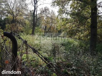 CICHA ŁADNA DZIAŁKA NA OBRZEZACH BUCHNIKOWEGO LASU - 3