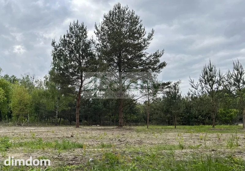 Do sprzedania działka budowlana o powierzchni 3155 m2 w Maryninie koło Książenic/Grodziska Maz. - 106108408.jpg