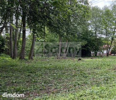 Do sprzedania działka budowlana o powierzchni 3155 m2 w Maryninie koło Książenic/Grodziska Maz. - 2