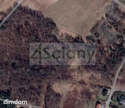 Do sprzedania działka leśno budowlana o powierzchni 9031 m2 m2 w Wycinkach Osowskich koło Grodziska Maz.