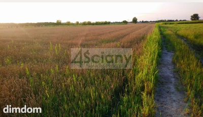 Do sprzedania działka budowlana o powierzchni 1136 m2 w Błoniu.