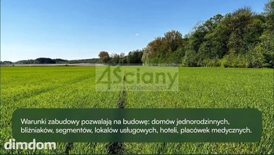 Do sprzedania działka budowlana o powierzchni 24900 m2 w Młochowie koło Żabiej Woli/Nadarzyna.