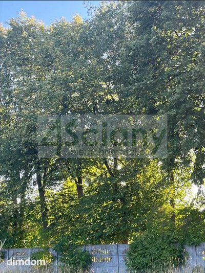 Zielona działka w Lesznowoli - 4