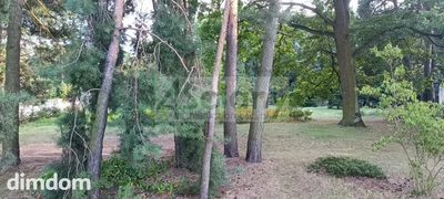 Do sprzedania działka budowlana o powierzchni 2355 m2 w Milanówku koło Grodziska Maz.