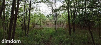 Na sprzedaż działka budowlana o powierzchni 1274 m2 w Stanisławowie Drugim (powiat Legionowski) zaledwie 5 km od Zalewu Zegrzyńskiego.