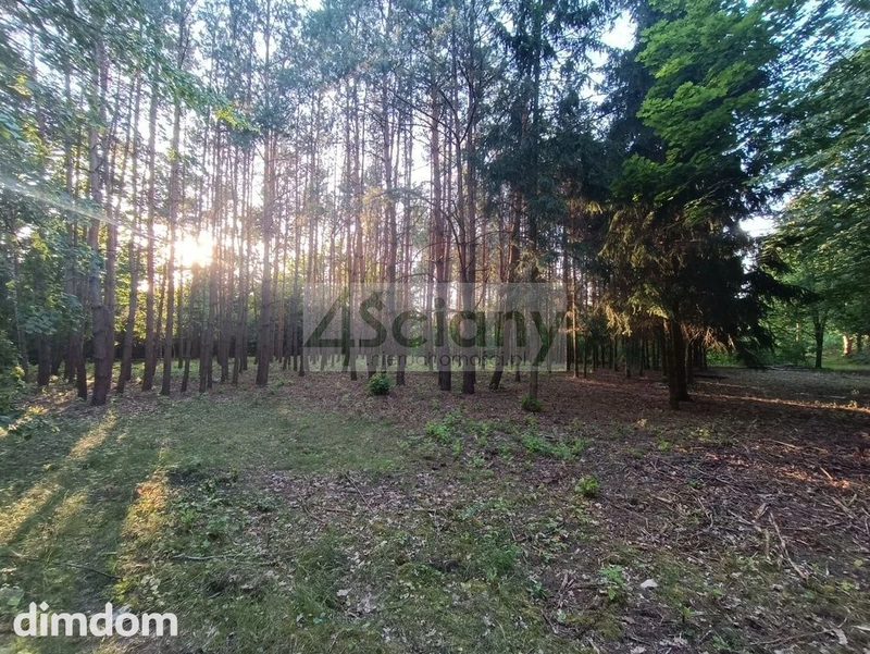 Sulejówek, piękna dzialka z drzewami - 106500681.jpg