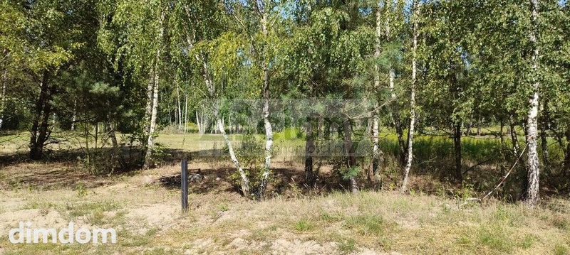 Błonie gmina Prażmów - działka pod lasem - 108547691.jpg