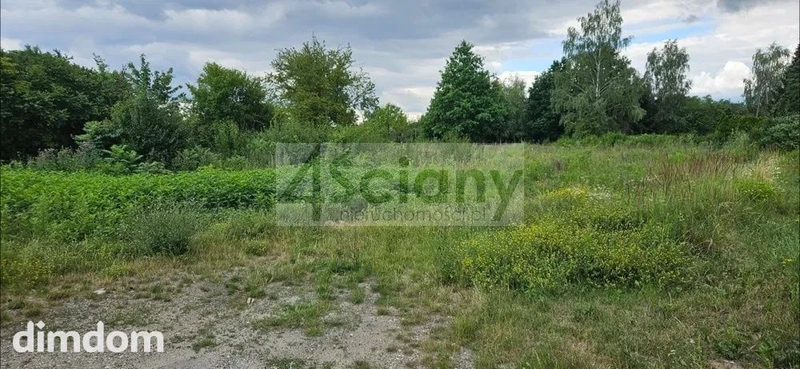 Działka na pograniczu Piaseczna i Gołkowa. - 108888240.jpg