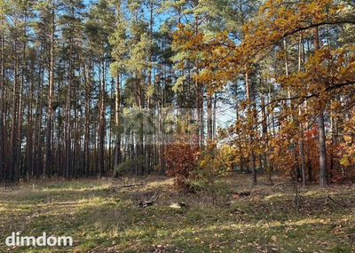 Do sprzedania działka budowlana o powierzchni 4000 m2 w Maryninie koło Grodziska Maz.
