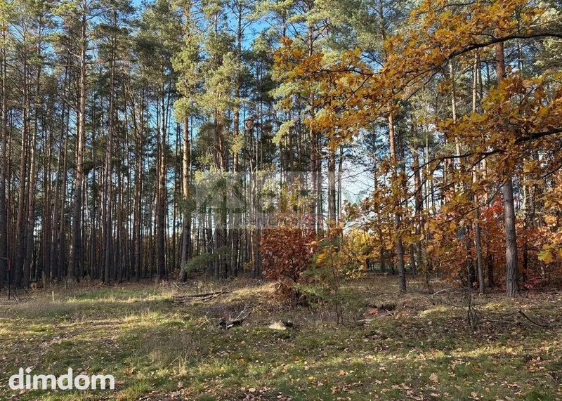 Do sprzedania działka budowlana o powierzchni 4000 m2 w Maryninie koło Grodziska Maz. - 109121382.jpg