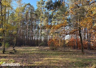 Do sprzedania działka budowlana o powierzchni 4000 m2 w Maryninie koło Grodziska Maz. - 2