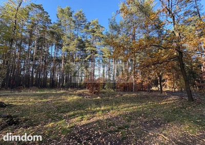 Do sprzedania działka budowlana o powierzchni 4000 m2 w Maryninie koło Grodziska Maz. - 4