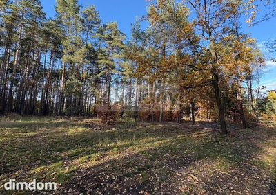 Do sprzedania działka budowlana o powierzchni 4000 m2 w Maryninie koło Grodziska Maz. - 5