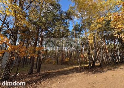 Do sprzedania działka budowlana o powierzchni 4000 m2 w Maryninie koło Grodziska Maz. - 3