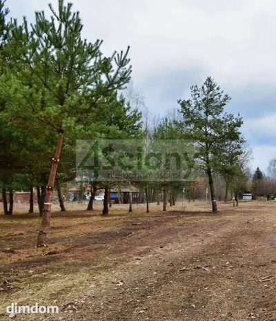 Do sprzedania działka budowlana o powierzchni 1000 m2 w Hucie Żabiowolskiej koło Żabiej Woli. - 2