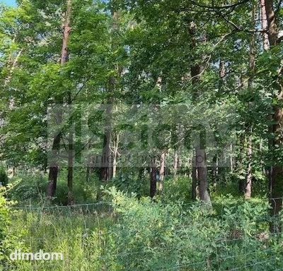 Do sprzedania działka budowlana o powierzchni 1814 m2 w Magdalence koło Piaseczna/Janek - 2