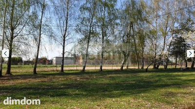 Na sprzedaż działka budowlana o powierzchni 800 m2 w miejscowości Wola Przypkowska.