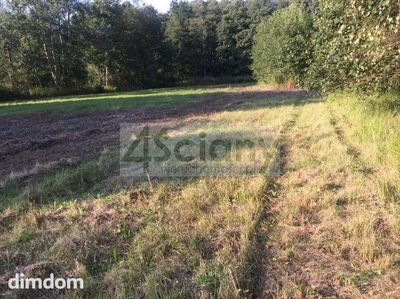 Na sprzedaż działka o powierzchni 1500 m2 we wsi Sierzchów, 10 km od Piaseczna.