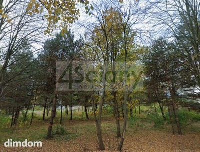 Do sprzedania działka budowlana o powierzchni 1500 m2 w Rozalinie koło Nadarzyna/Żabiej Woli.