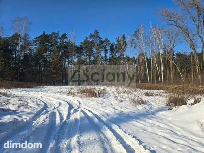 Narożna działka o powierzchni 967 m², położoną bezpośrednio przy ścianie lasu. - 2