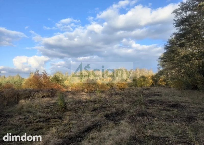 Do sprzedania działka budowlana o powierzchni 2506 m2 w Żółwinie koło Podkowy Leśnej/Grodziska Maz. - 110835940.jpg
