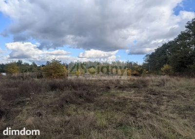 Do sprzedania działka budowlana o powierzchni 2506 m2 w Żółwinie koło Podkowy Leśnej/Grodziska Maz. - 5
