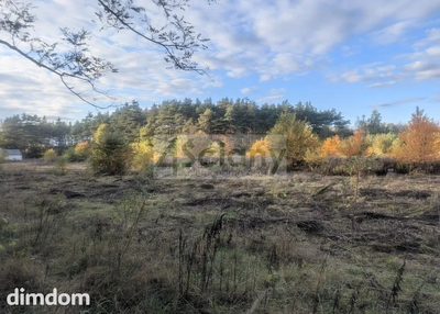 Do sprzedania działka budowlana o powierzchni 2506 m2 w Żółwinie koło Podkowy Leśnej/Grodziska Maz. - 2