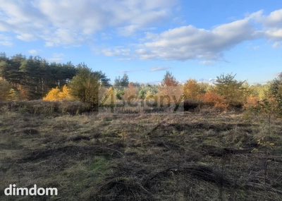 Do sprzedania działka budowlana o powierzchni 2506 m2 w Żółwinie koło Podkowy Leśnej/Grodziska Maz. - 3