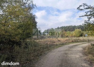 Do sprzedania działka budowlana o powierzchni 2506 m2 w Żółwinie koło Podkowy Leśnej/Grodziska Maz. - 4