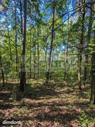 Do sprzedania działka budowlana o powierzchni 3500 m2 w Władysławowie koło Grodziska Maz/Żabiej Woli.