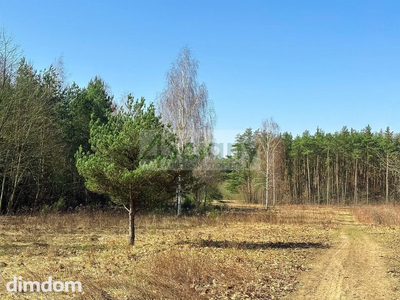 Duża działka z możliwością podziału w Ojrzanowie
