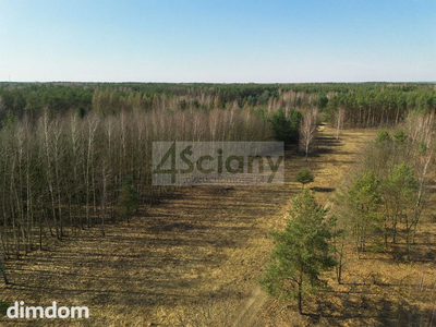 Duża działka z możliwością podziału w Ojrzanowie - 3