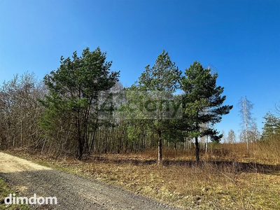 Duża działka z możliwością podziału w Ojrzanowie - 4