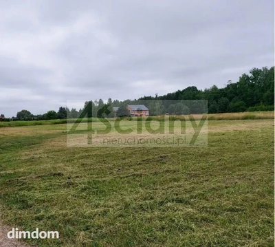 Do sprzedania działka budowlana o powierzchni 2438 m2 w Strzeniówce koło Pruszkowa. - 2