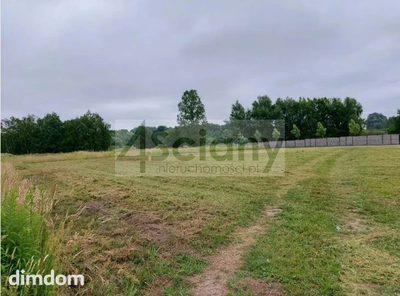 Do sprzedania działka budowlana o powierzchni 2438 m2 w Strzeniówce koło Pruszkowa. - 3