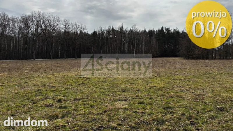 KUPUJĄCY  NIE  PŁACI  PROWIZJI  !!! - 111592975.jpg
