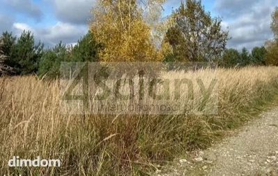 Do sprzedania działka o powierzchni 3350 m2 w miejscowości Stary Łajszczew w gminie Puszcza Mariańska. Teren w kształcie prostokąta. Wymiary działki 47x71 m. Działka leżąca przy drodze utwardzonej w… - 2