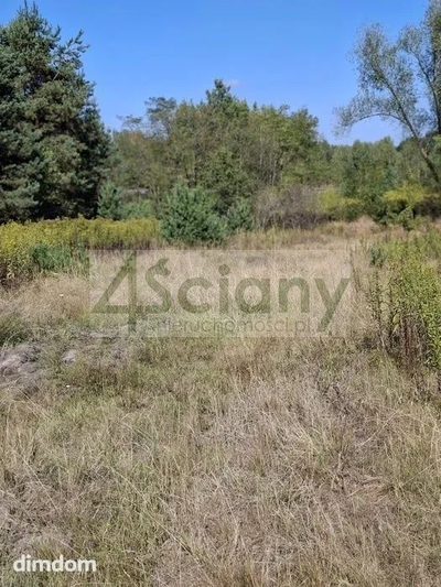 Do sprzedania działka budowlana o powierzchni 2 100 m2, położona w miejscowości Regut gmina Celestynów. Dojazd do działki drogą utwardzoną. - 4