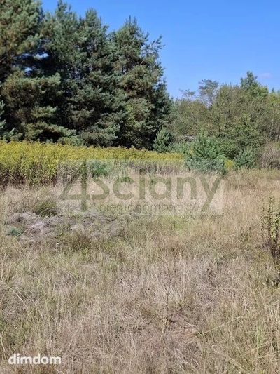 Do sprzedania działka budowlana o powierzchni 2 100 m2, położona w miejscowości Regut gmina Celestynów. Dojazd do działki drogą utwardzoną. - 5